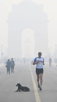 Diet tips to tackle severe air quality