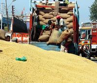 How futures trading affects farmers