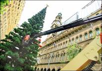 A 70-feet-high Christmas tree!