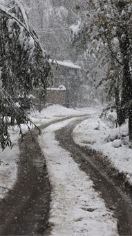 8 places to visit in India to enjoy snowfall