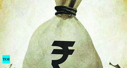 South Delhi Municipal Corporation budget has eyes on elections