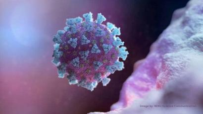 Global coronavirus deaths exceed 700,000, one person dies every 15 seconds on average