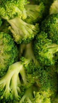 Why Broccoli Should Be Your Go-To Superfood