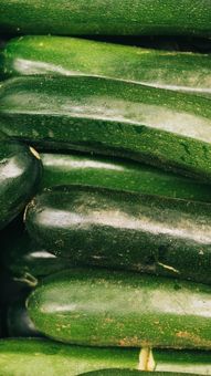 5 Delightful Zucchini Recipes