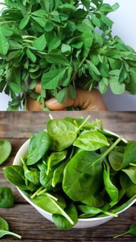 7 Winter Superfoods You Must Try