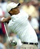 Spotlight back on coaching gurus