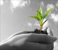 This is what Narendra Modi dreams of