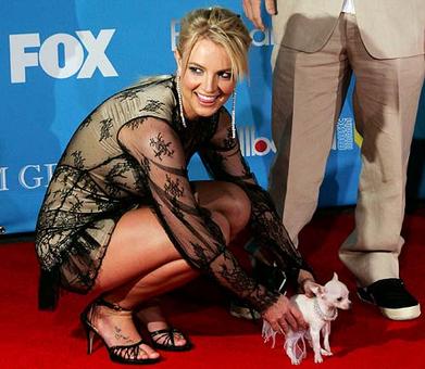 What Britney has in common with Katie Price