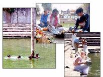 Ancient temple in urban jungle