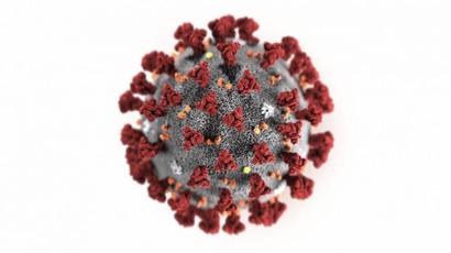 Coronavirus pandemic: Over 36 Madhya Pradesh districts under lockdown