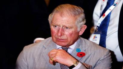 Deployment of funds, not lack of capital, thwarting fight against climate change: Prince Charles