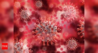 Tamil Nadu sees 500 deaths in 5 days, but new coronavirus cases decrease | Chennai News - Times of India