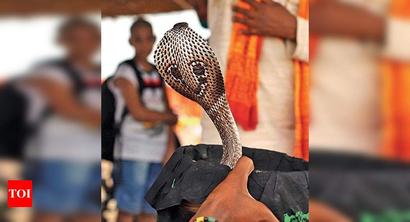 Snakebites kill 14L in 19 years, make Covid-19 toll look small