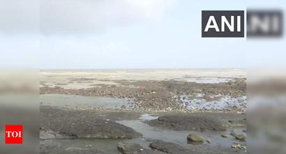 Mumbai: High tide of 4.67 meters expected today