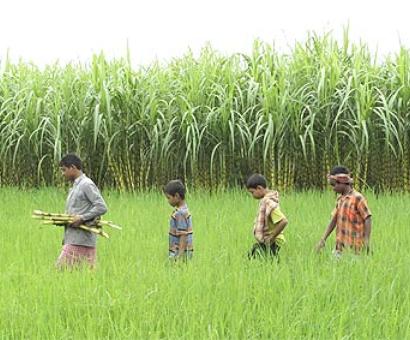 ASEAN FTA:  Good or bad for Indian farmers?